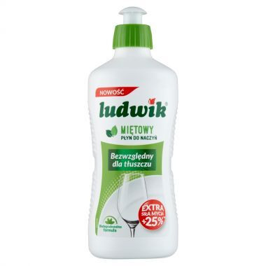 PŁYN DO NACZYŃ LUDWIK 250ML MIĘTA